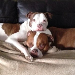 the kids