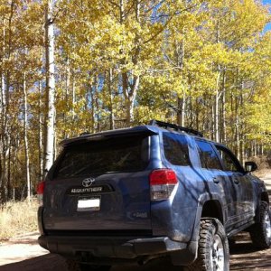 Aspens making it interesting.