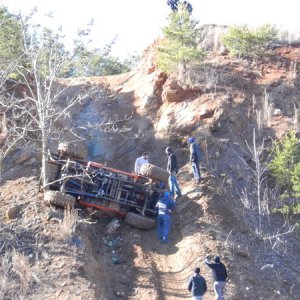 Good thing there was a tree there