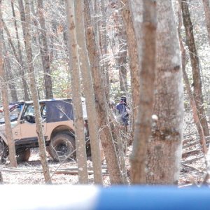 Jeeps in the woods
