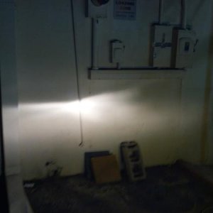 stock 55w halogen 9003.