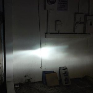 Invoited 55w 5000k HID 9003. the cutoff on the stock halogens is actually better than the hids, even though they came with a cutoff shield