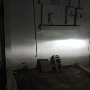 Invoited 55w 5000k HID 9003 with modified cutoff. I added some aluminum foil tape to the cut off shields and was able to eliminate the glare typically