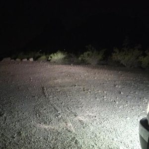 HID High Beams + LED Plate