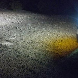 Amber light shining through LED Plate cover