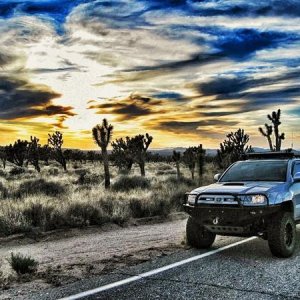 Mojave Preserve, CA