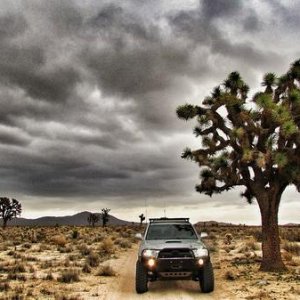 Desert Wandering