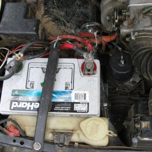 IMG 0242