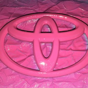 Plastidip