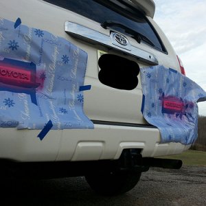 Plastidipping!