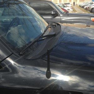 6" stubby antenna