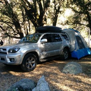 New tent for camping with the Runner.