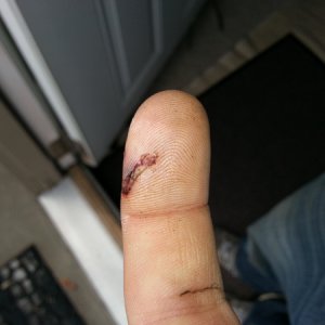 i almost cut off my finger with a hand saw :(