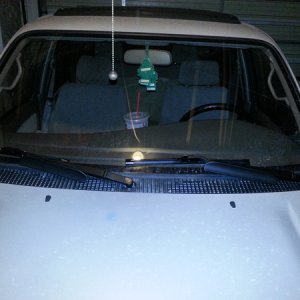 wind guard
