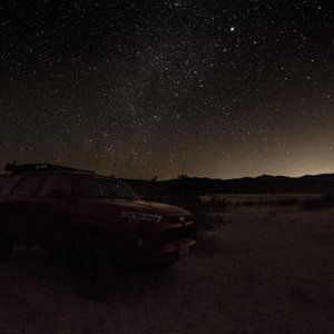 Warthog under the stars