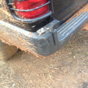 Her first trail scar!