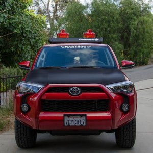 Photochop of my runner with a hoodwrap.