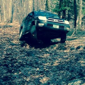 Flexin!