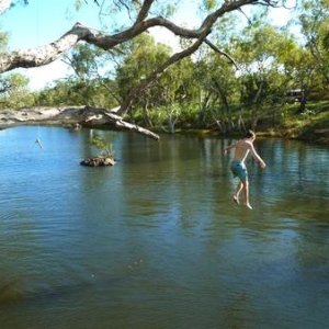 Kids will allways find a tree to jump from !!!