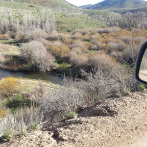 driving