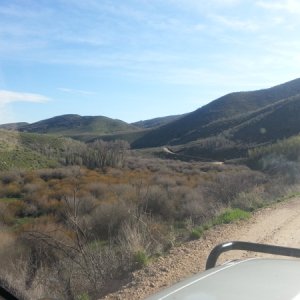 driving with a nice view