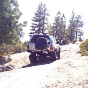 In its natural habitat.