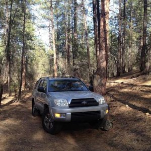 1st thing I did when I got home. Go out in the woods.