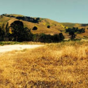 4runner landscape
