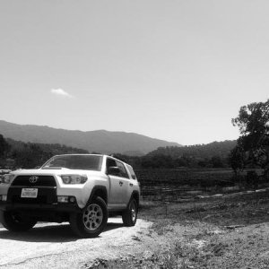 4rnr bw
