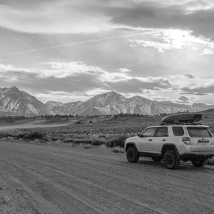 SB3 - Mammoth