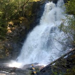 One of the many waterfalls found along the Squamish Service road in search of the Elaho Giant