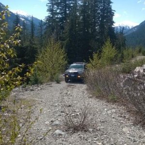 Climbing the mountain to try to visually see the 1400yr old Douglas Fir