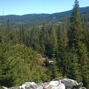 Looking for the Elaho Giant about 2km west of where we should be looking...