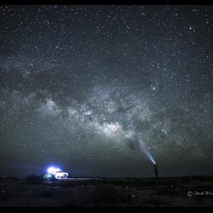 stars