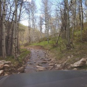 Wheeling!