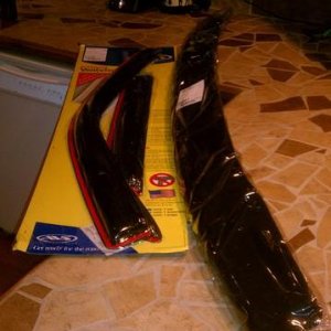 Window visor and bug guard
