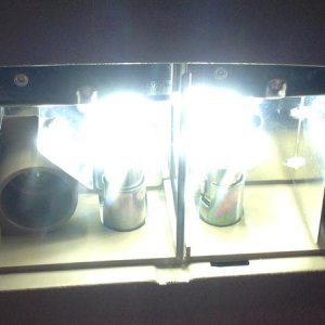 Vleds #57 5000k bulbs.