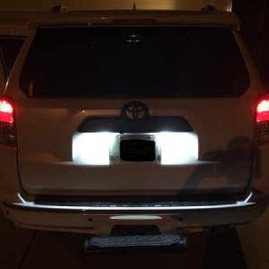 Vleds LED conversion bulbs (license plate lights)