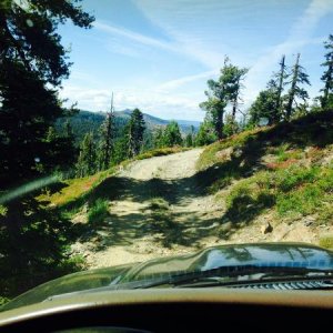 Deer lake trip