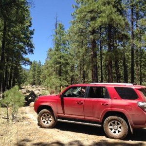 Trail we explored behind the Peaks in Flagstaff, AZ
Giant rock blocking the road, had to turn around.