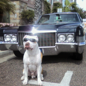 Just being a bad ass
