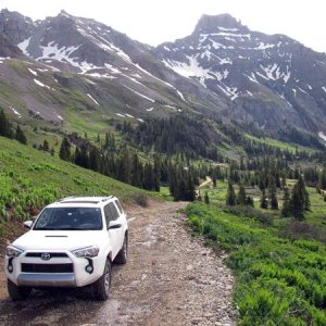 Yankee Boy Basin Ouray, CO