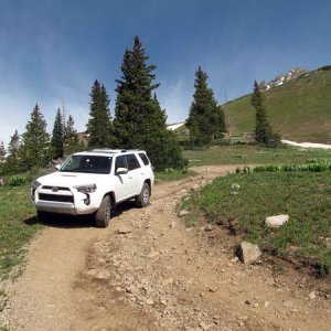 Yankee Boy Basin Ouray, CO