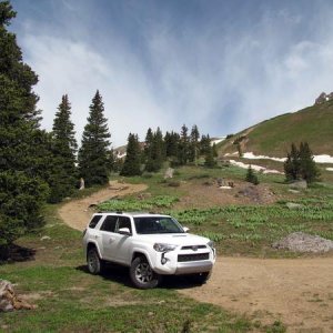 Yankee Boy Basin Ouray, CO