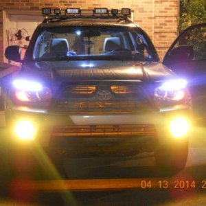 New hyper-yellow fog bulbs.