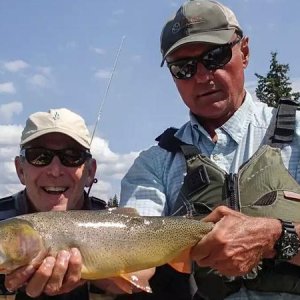 fine spotted snake river cutthroat trout
