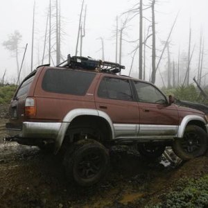 McGrew2
