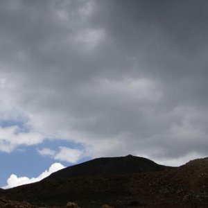 DSC05419