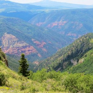 Red cliffs of the Colorado.