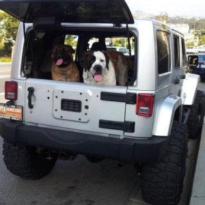 Lola & Titan